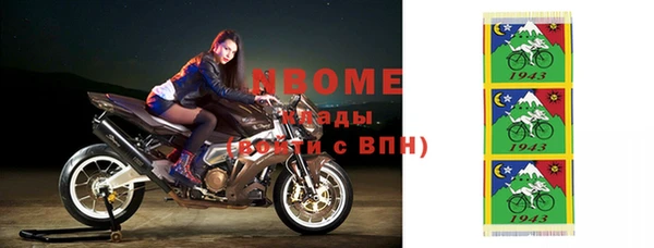 мдпв Горнозаводск